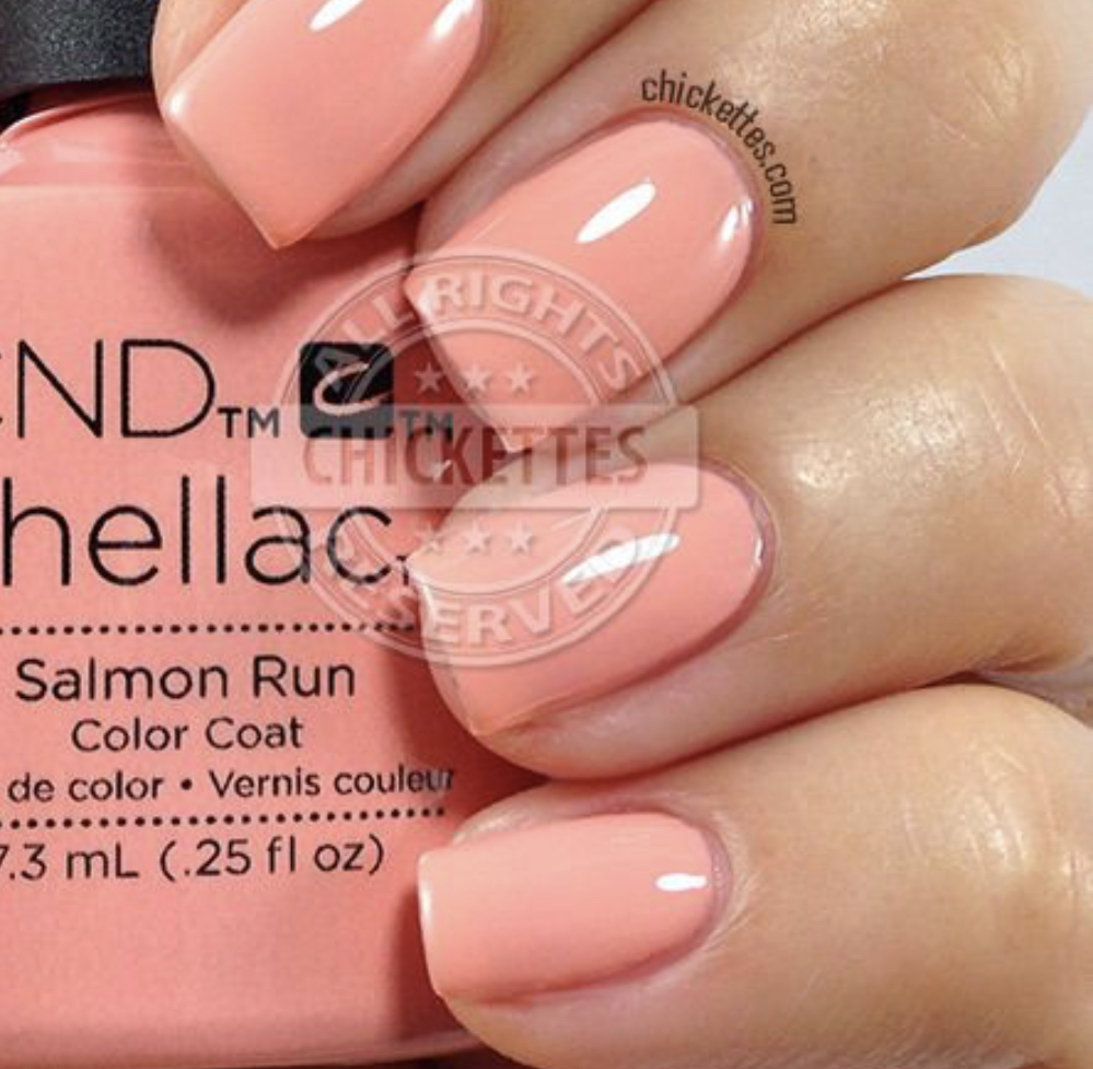 78B653A7-998B-4590-A75C-4F461E22C590